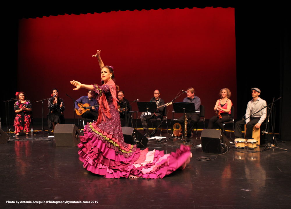 Cuadro Flamenco de Val Ramos