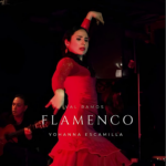 Val & Yohanna Flamenco Photo
